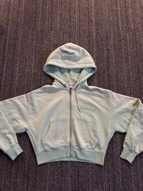 Darc Sport Mint Green Zip-Up Hoodie with Embroidered Logo